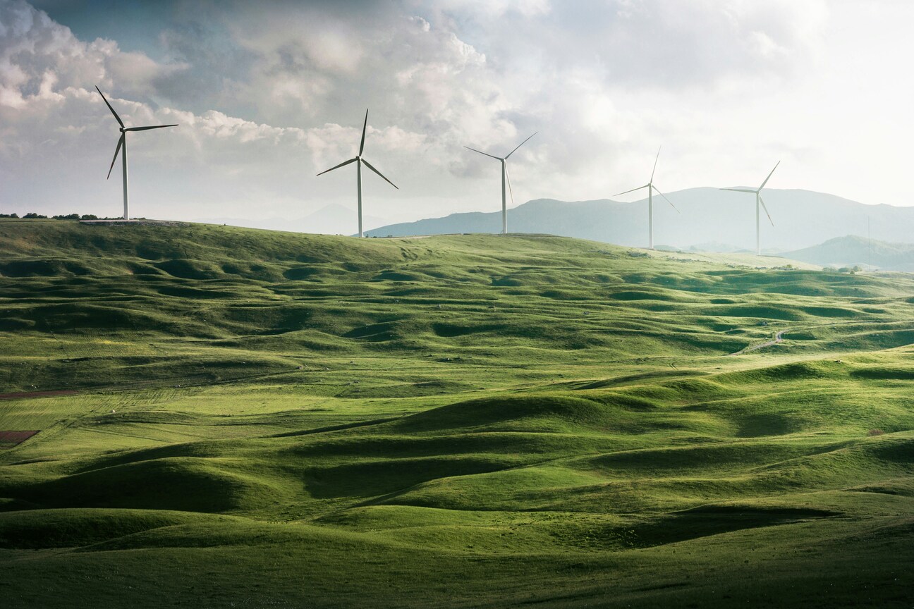 Green Business sme